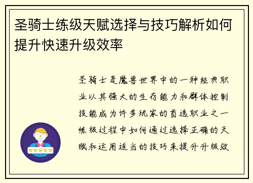 圣骑士练级天赋选择与技巧解析如何提升快速升级效率